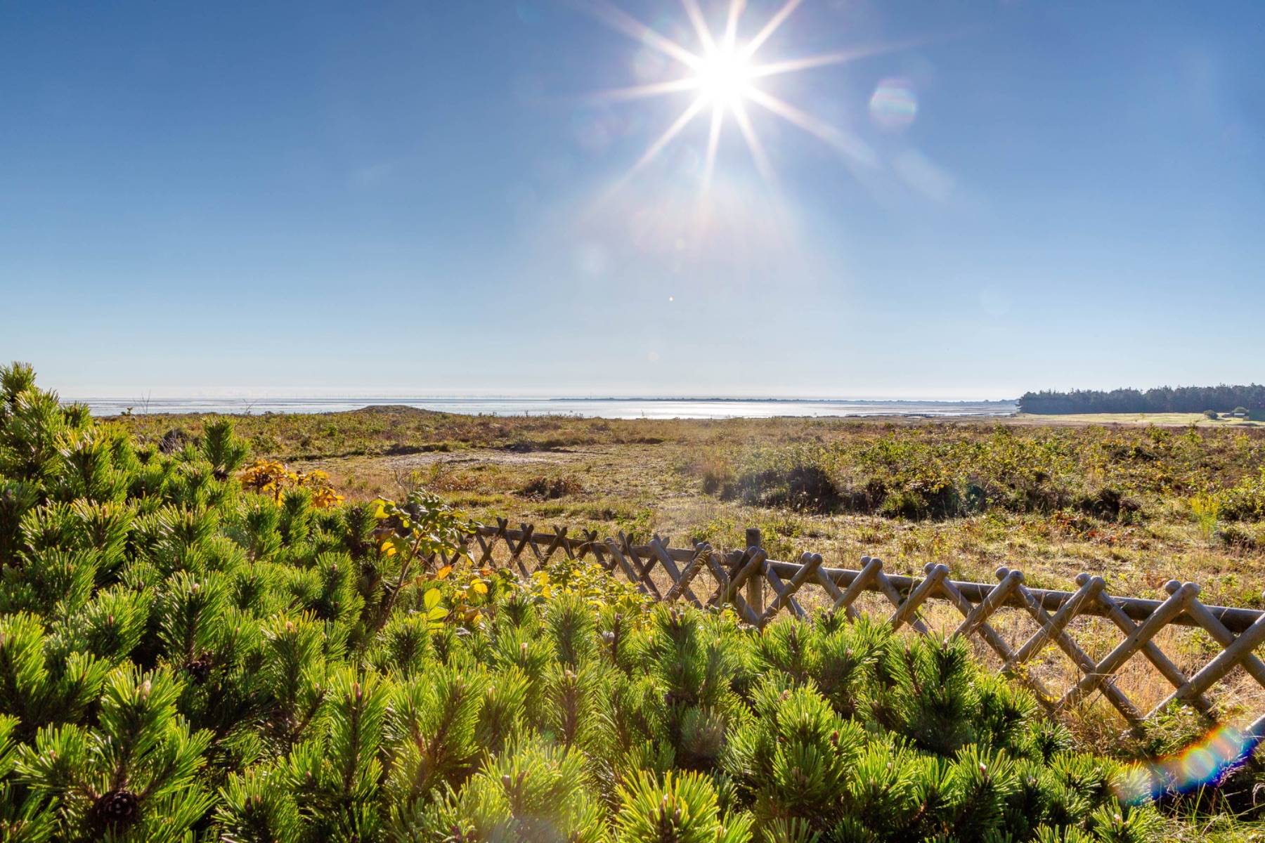 Traumhafter Blick auf das Wattenmeer