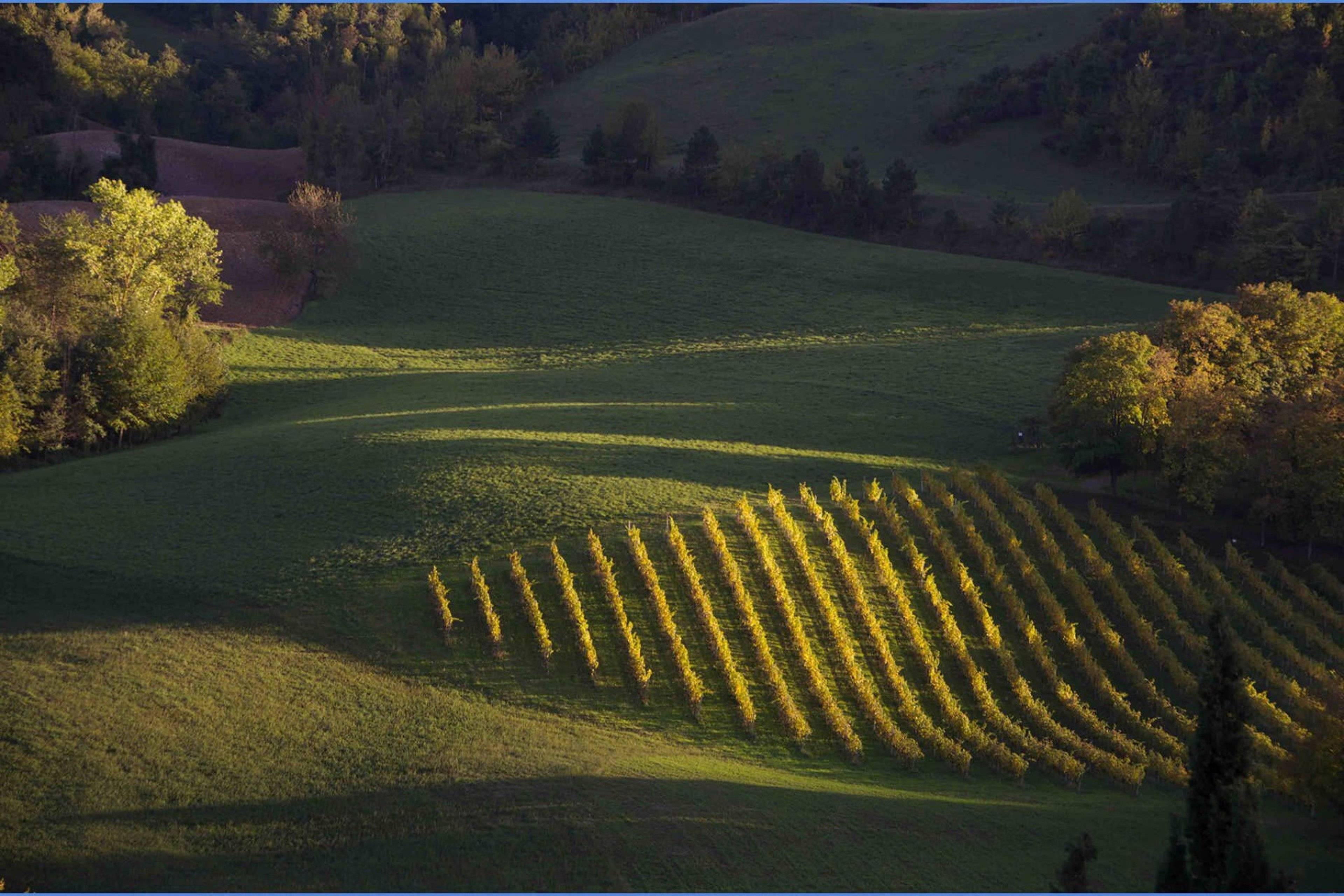 Ferienhaus Torre Fantino in Tredozio