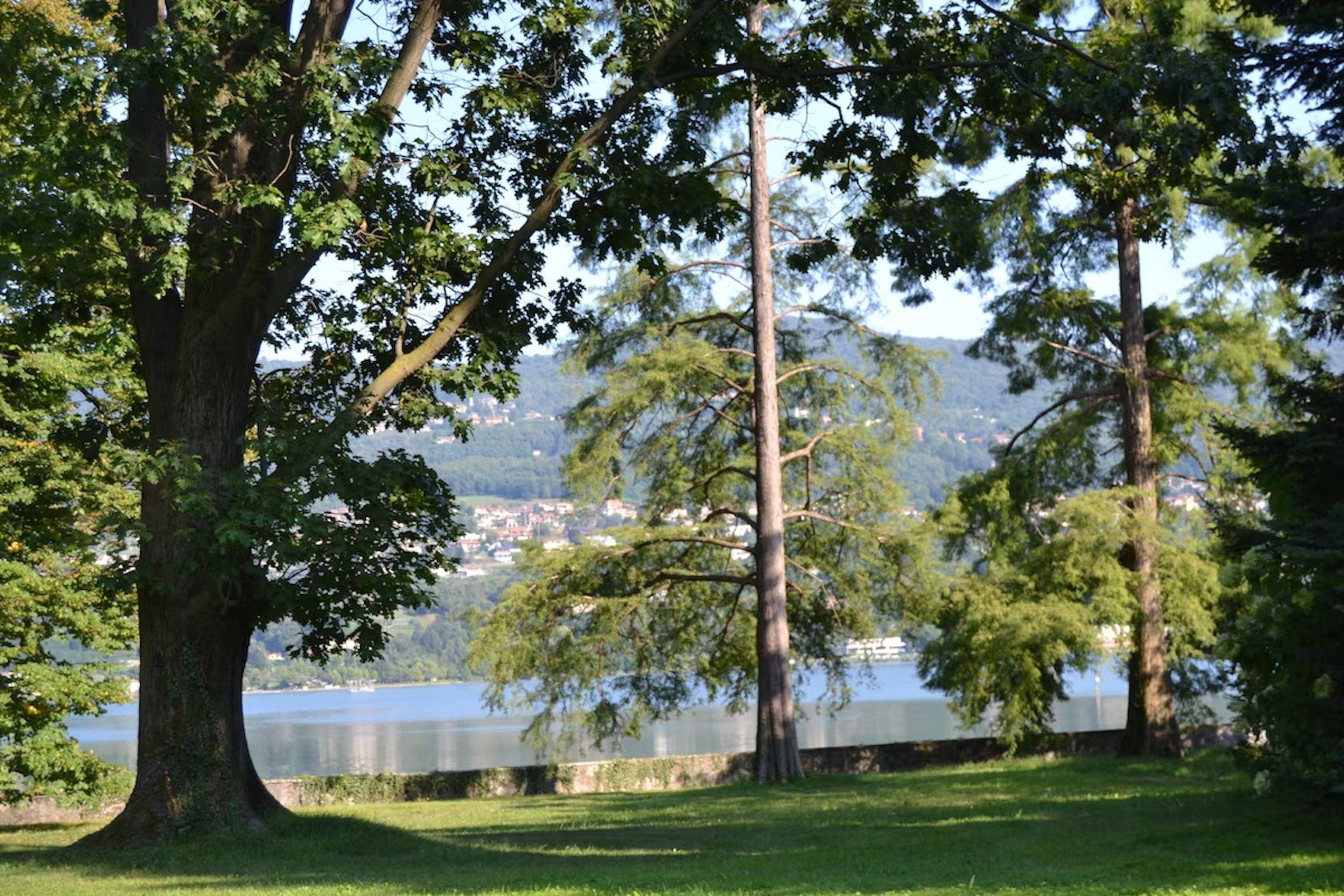 Villa Annone in Annone Brianza