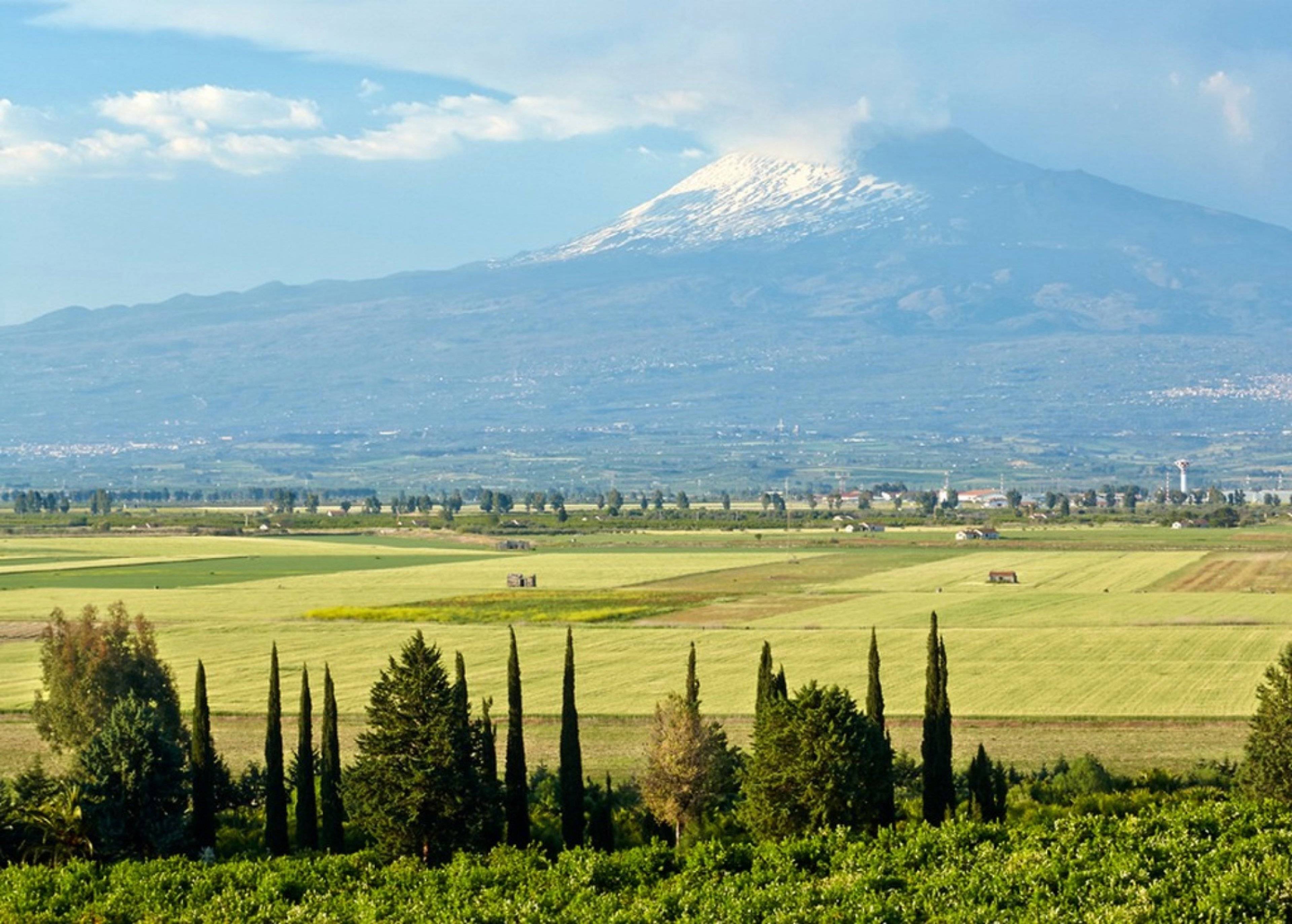 Villa Aranceto in Siracusa