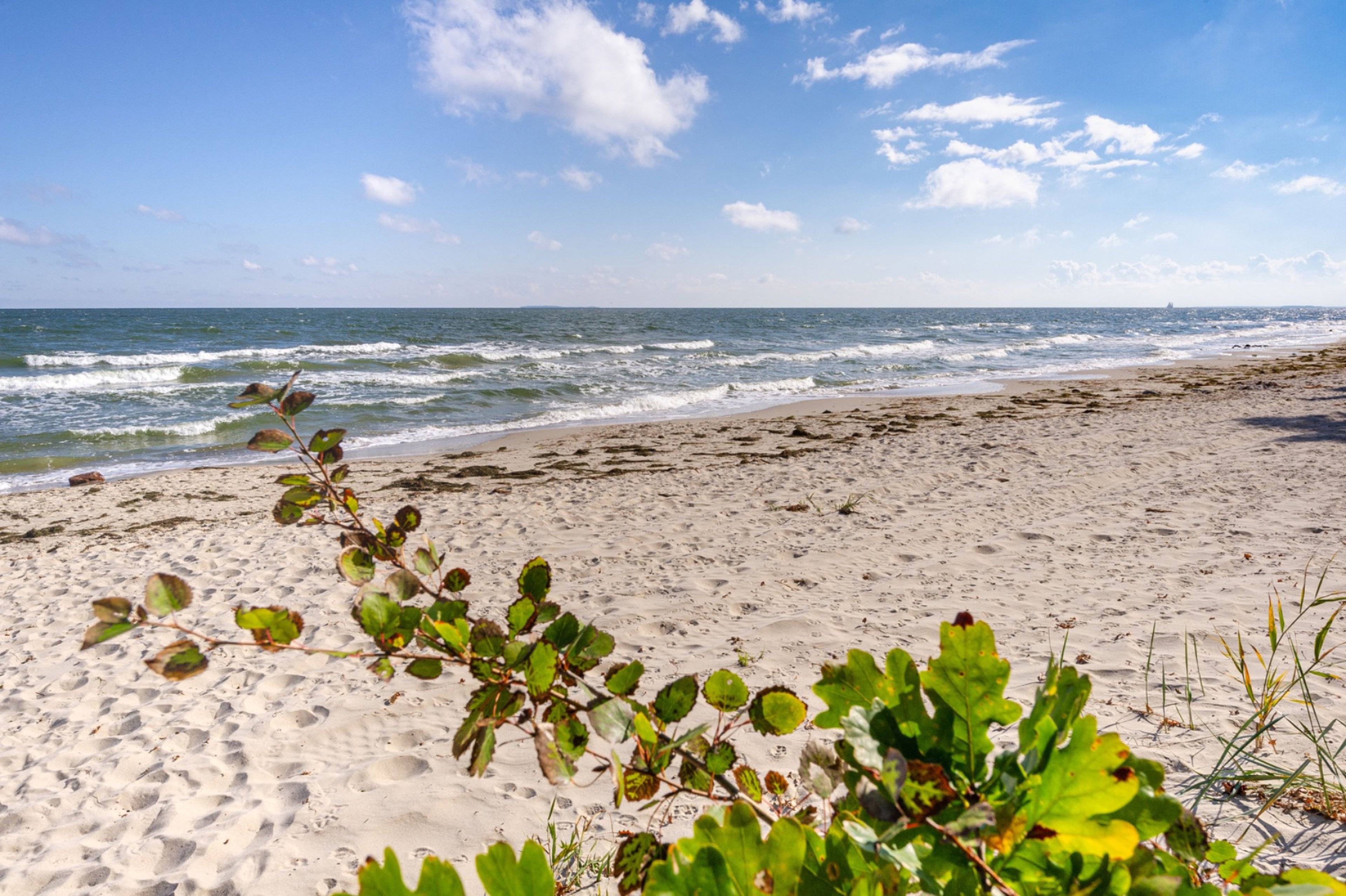 Der Strandabschnitt in Lobbe gehört zu den schönsten auf der Insel Rügen