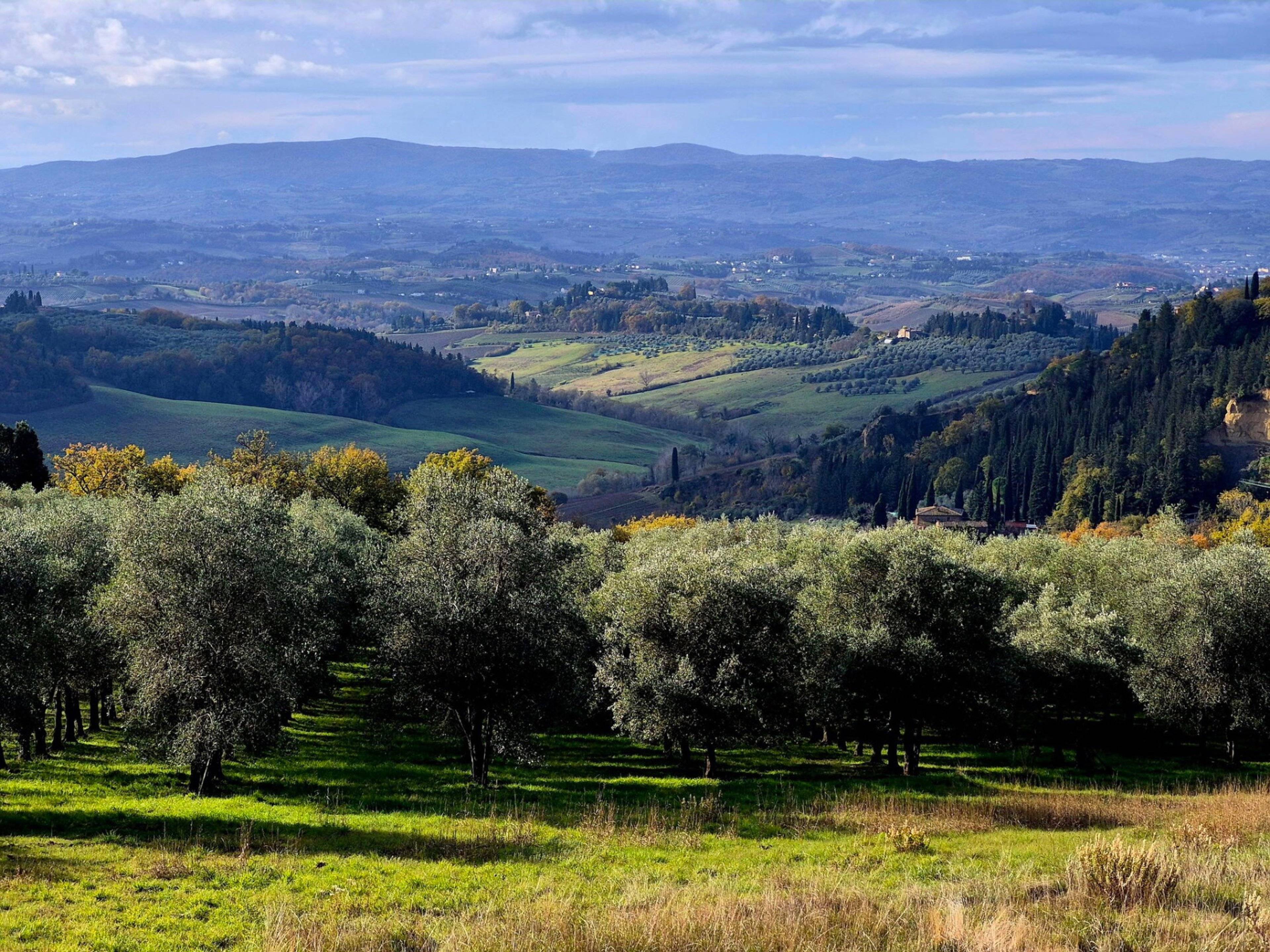 Villa Il Podere in Fiano Certaldo