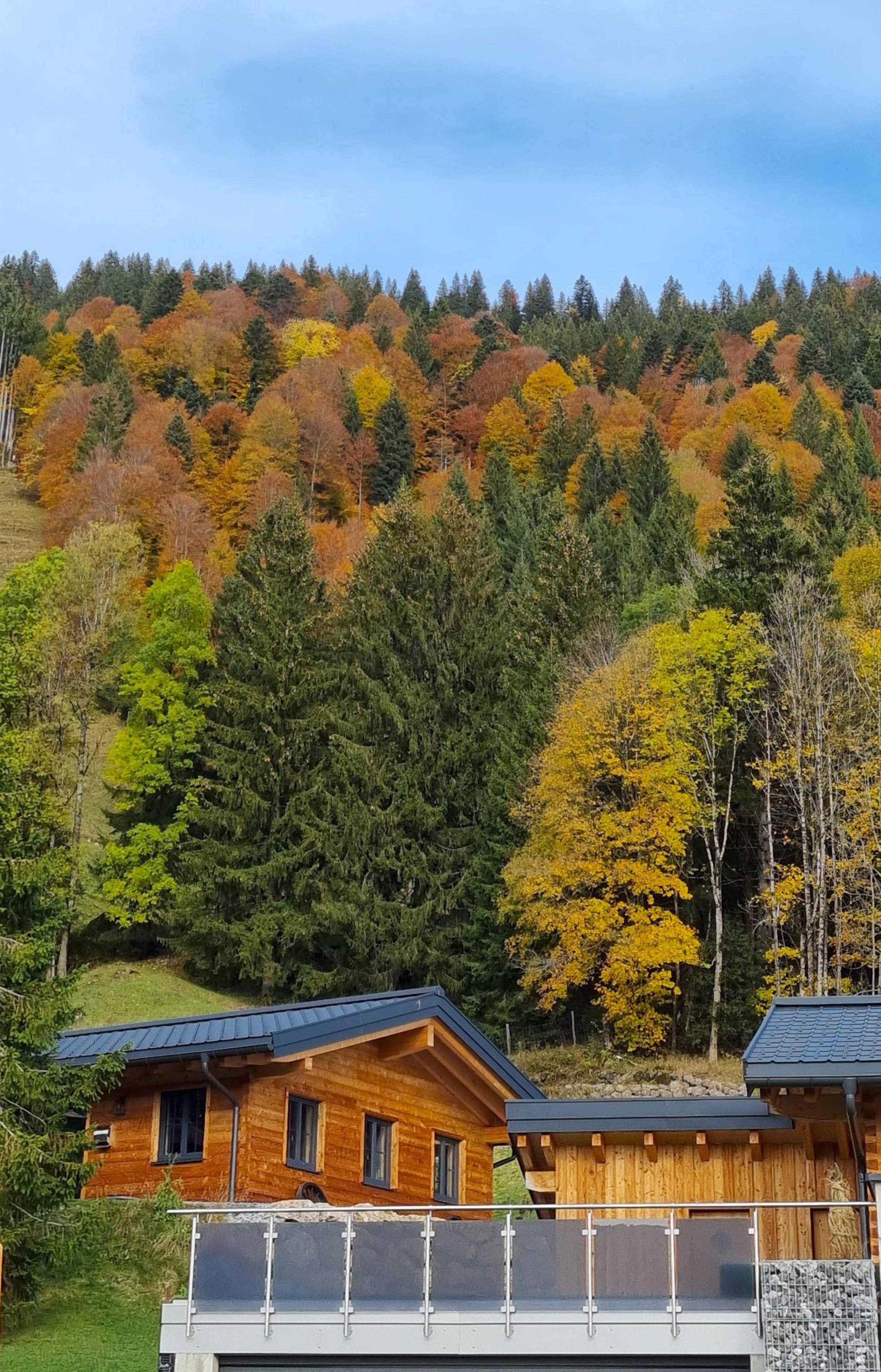 Chalet Steig Auf - Blick zur Straße