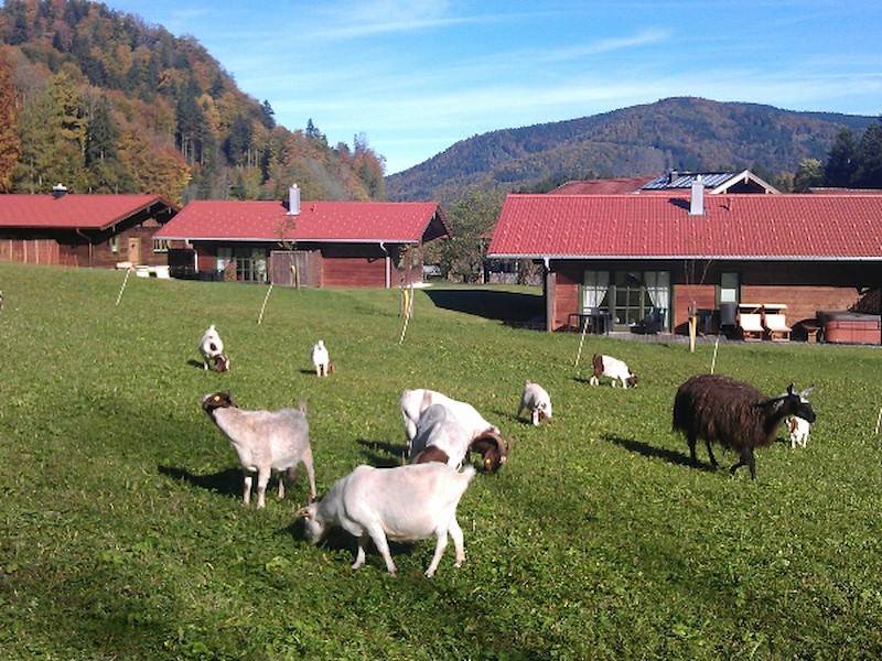 Bei diesem Anblick geht nicht nur den Kindern das Herz auf.