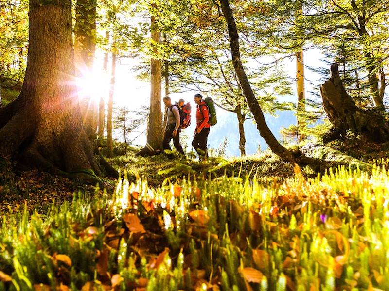 Sie wandern gerne? Dann erkunden Sie doch mal Ruhpolding und seine wunderbare Region.