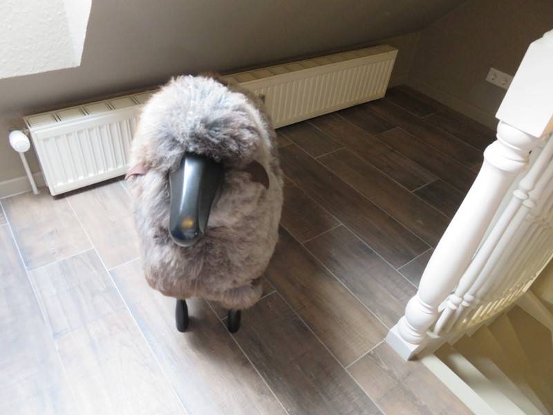 ...wenn man mal nicht einschlafen kann, zählt man einfach Schäfchen...