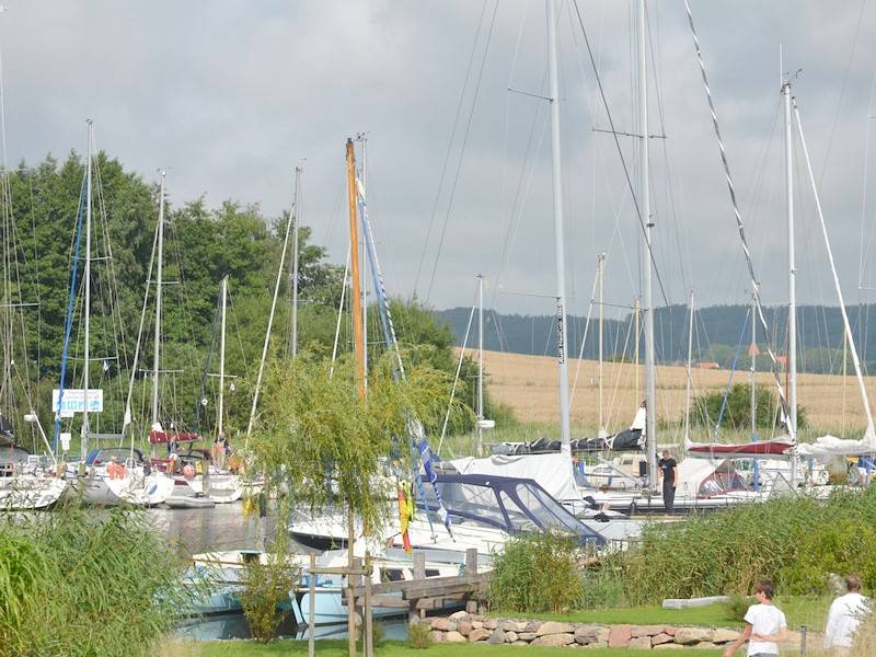 Der beliebte Yachthafen befindet sich unmittelbar vor dem Ferienhaus Havingblick