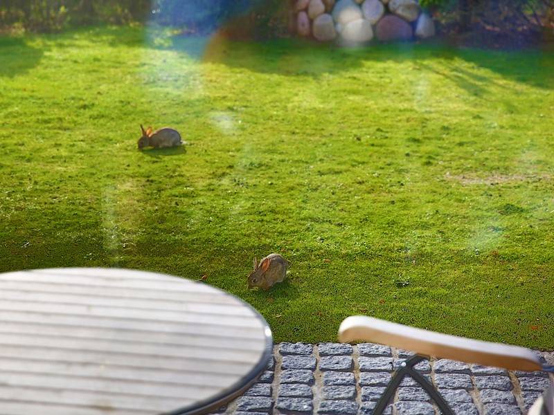 Genießen Sie die Ruhe im Garten!