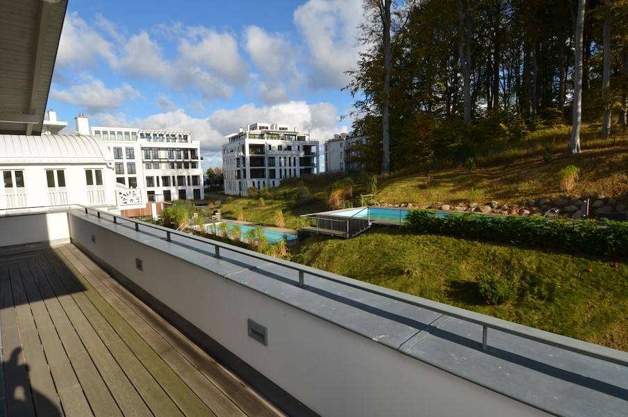 Der Blick auf den Pool im Garten und den dahinter liegenden Wald.