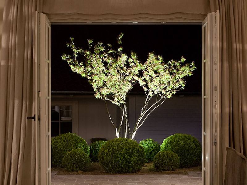 Blick in den Garten