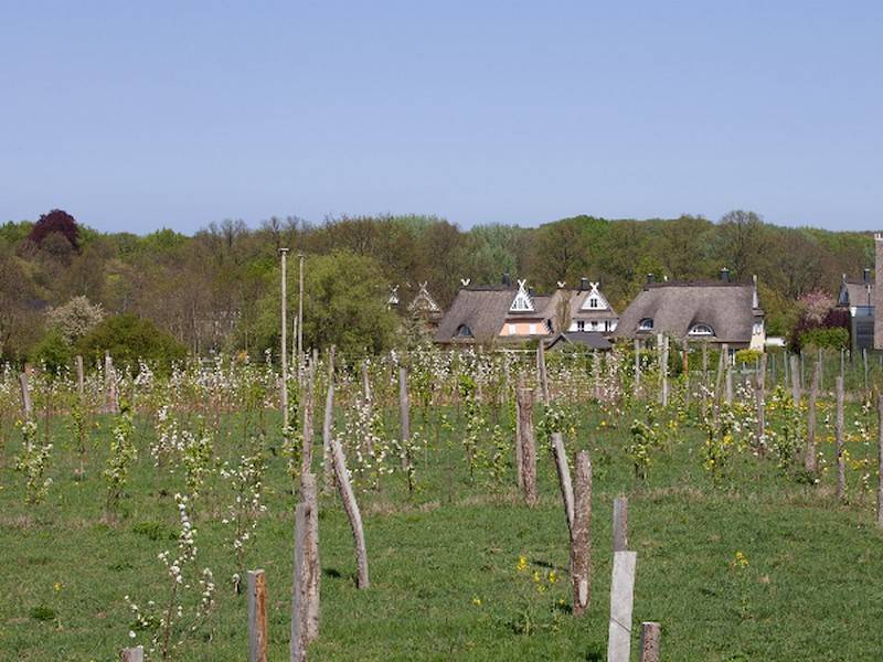 Blick aus einem Schlafzimmer auf die Obstwiese