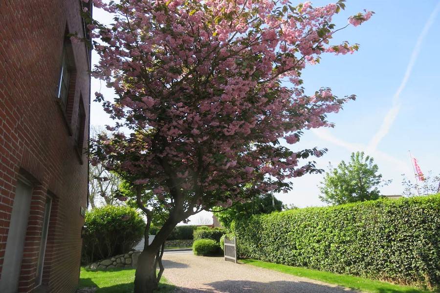 Die wunderbare Natur beginnt bereits vor dem Haus
