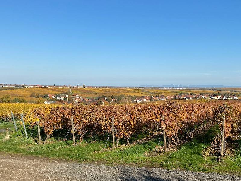 Kleinkarlbach im Herbst.