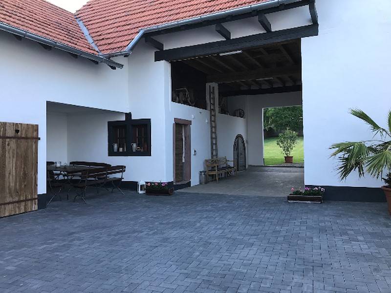 Blick in den Garten.