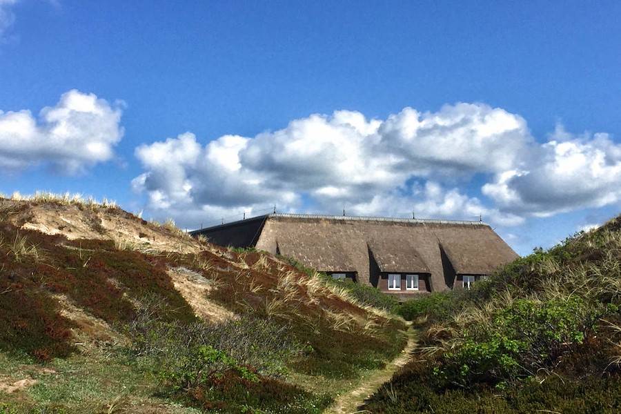 Blick von den Dünen auf das Anwesen mit der Ferienwohnung Kliffsand
