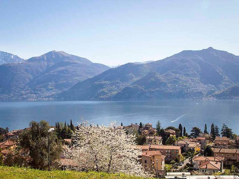 Traumhafter Seeblick