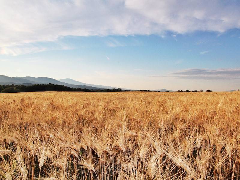 Weitläufige Felder und hügelige Landschaften machen diese Region sehenswert.