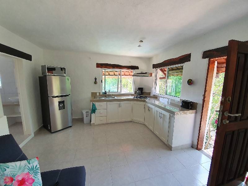 die Küche mit Blick in den Garten