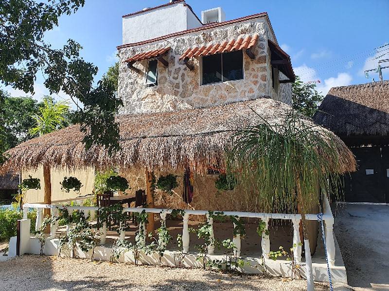 karibisches Palapa-Dach und viele Pflanzen