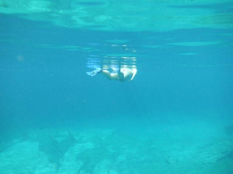 glasklares Wasser in den Cenoten
