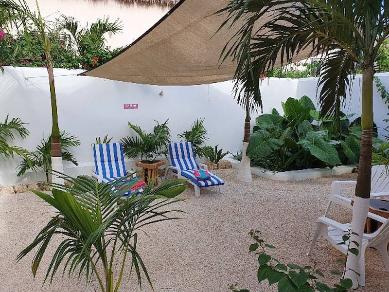 Relaxen im Garten unter Palmen