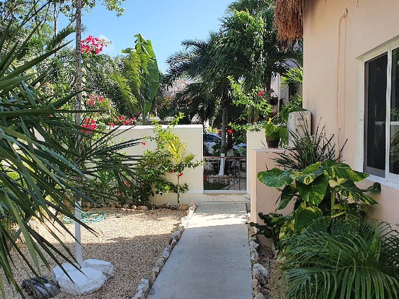 der tropisch angelegte Garten